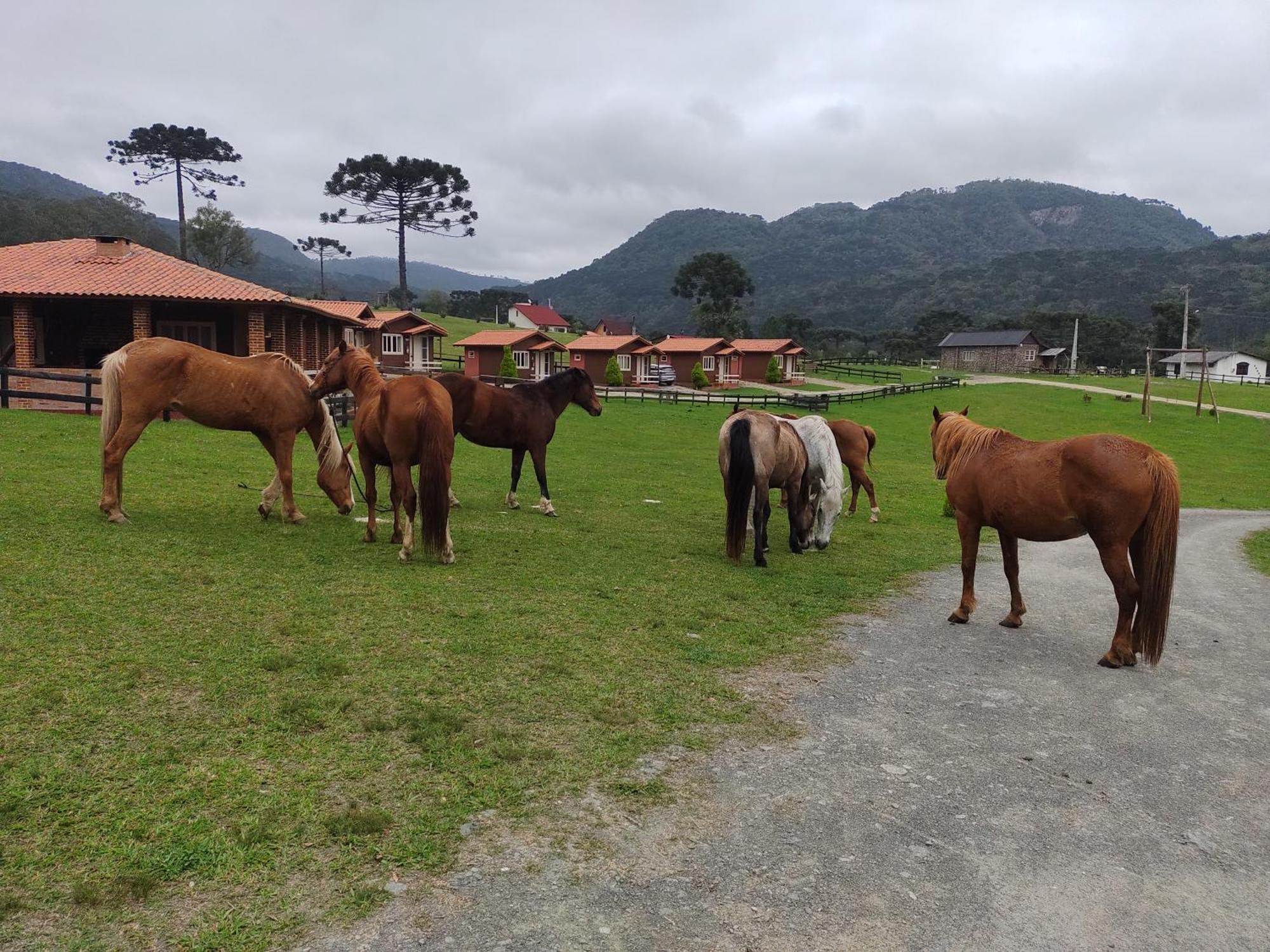فندق Sitio Rancho Crioulo أوروبيسي المظهر الخارجي الصورة